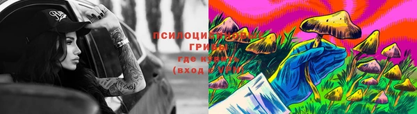 гидра Покровск