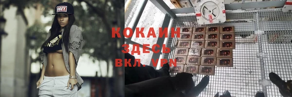 дживик Покров