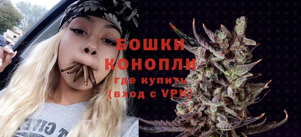 гидра Покровск