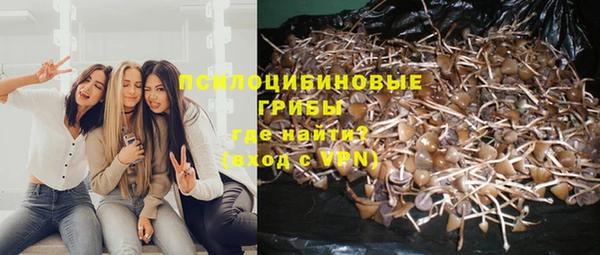 гидропоника Абдулино