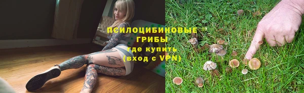 соль ск Ветлуга
