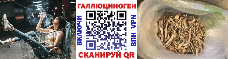shop Telegram Новотроицк Псилоцибиновые грибы GOLDEN TEACHER где можно купить KRAKEN как войти