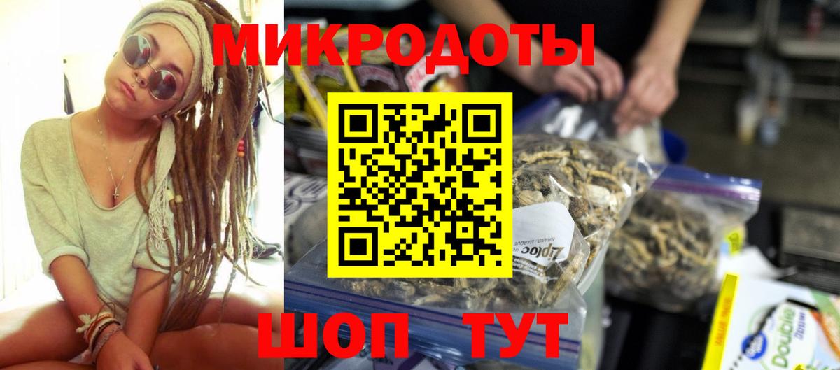 Псилоцибиновые грибы Psilocybine cubensis Новотроицк